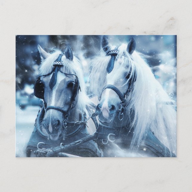  Beautiful Horse Team Winter Photo Postcard (Front)