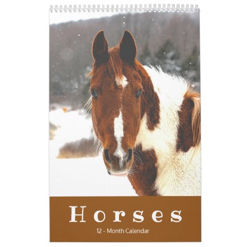Beautiful Horses 12_Month Horse Calendar