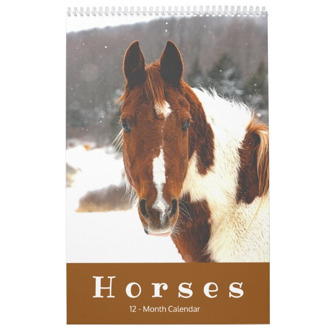 Beautiful Horses 12-Month Horse Calendar (Cover)