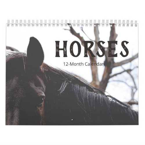 Beautiful Horses 12_Month Medium Calendar
