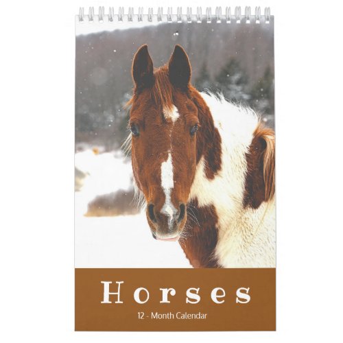 Beautiful Horses 12_Month Small Horse Calendar