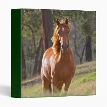 Beautiful Horses 3 Ring Binder by LovelyDesigns4U at Zazzle