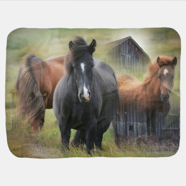 Beautiful Horses and Rustic Barn Baby Blanket (Horizontal)
