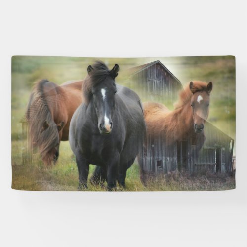 Beautiful Horses and Rustic Barn Banner