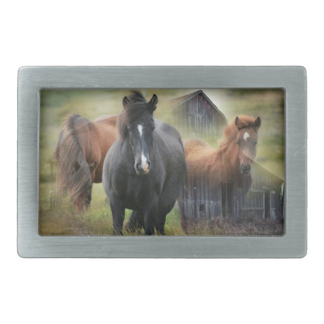 Beautiful Horses and Rustic Barn Belt Buckle (Front)