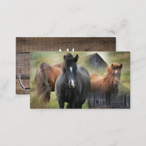 Beautiful Horses and Rustic Barn Business Card