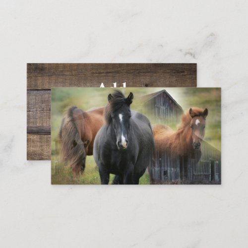 Beautiful Horses and Rustic Barn Business Card