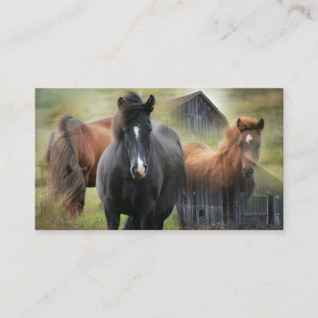 Beautiful Horses and Rustic Barn Business Card (Front)