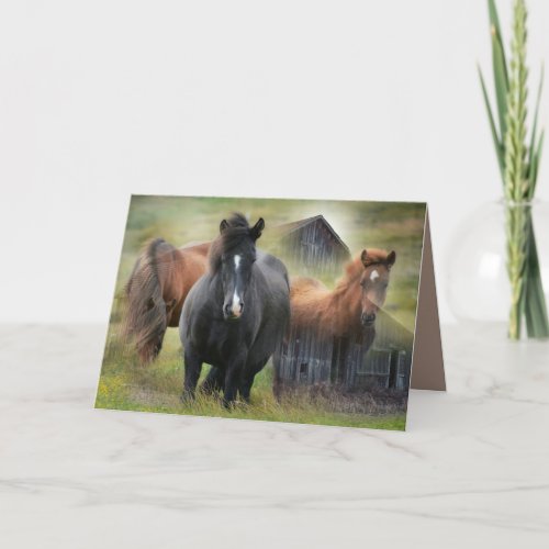 Beautiful Horses and Rustic Barn Card