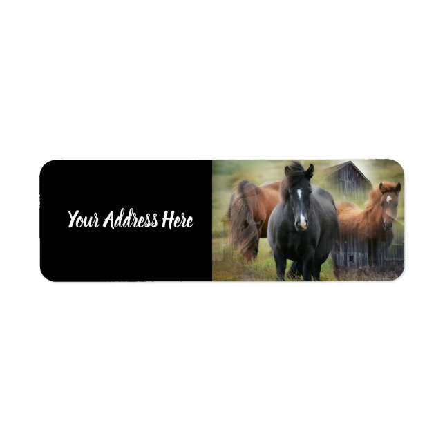 Beautiful Horses and Rustic Barn Label (Front)