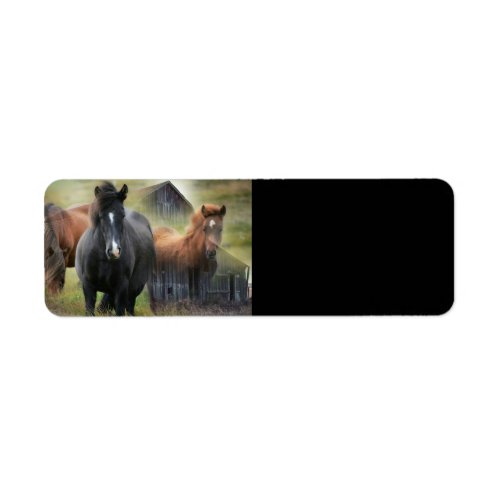 Beautiful Horses and Rustic Barn Label