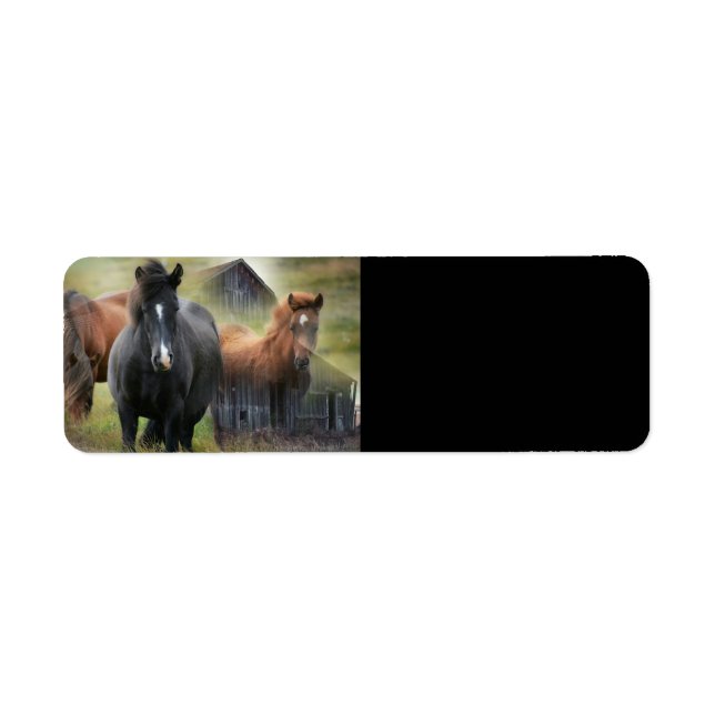 Beautiful Horses and Rustic Barn Label (Front)