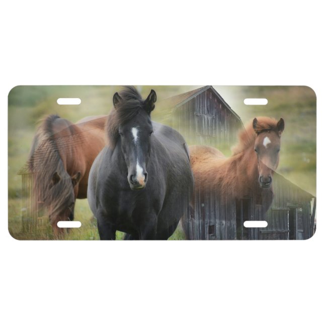 Beautiful Horses and Rustic Barn License Plate (Front)