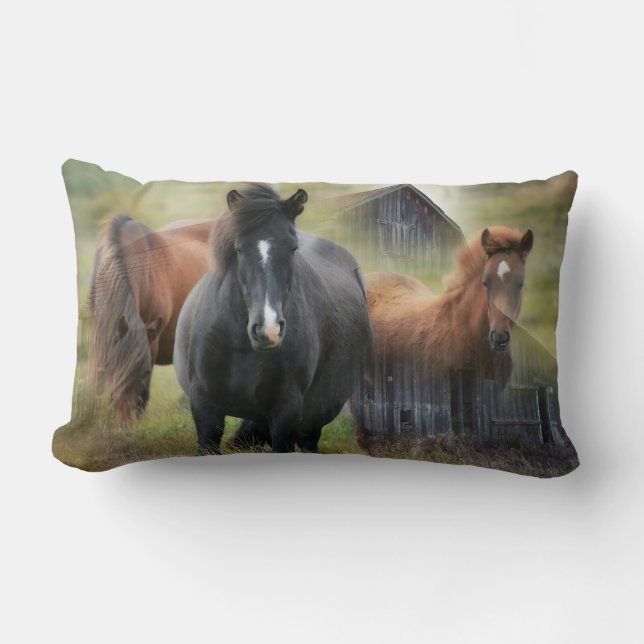 Beautiful Horses and Rustic Barn Lumbar Pillow (Front)