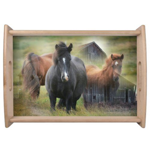 Beautiful Horses and Rustic Barn Serving Tray