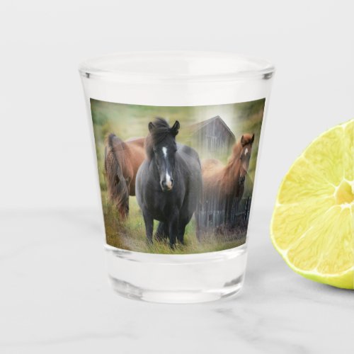 Beautiful Horses and Rustic Barn Shot Glass