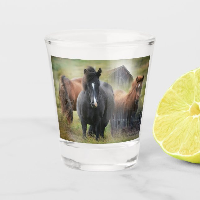 Beautiful Horses and Rustic Barn Shot Glass (Front)
