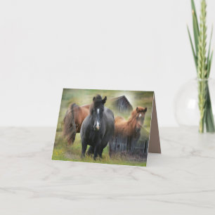 Beautiful Horses and Rustic Barn Thank You Card