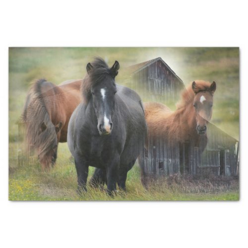 Beautiful Horses and Rustic Barn Tissue Paper