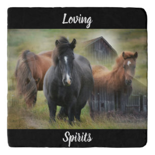 Beautiful Horses and Rustic Barn Trivet