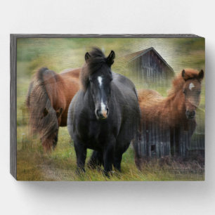 Beautiful Horses and Rustic Barn Wooden Box Sign