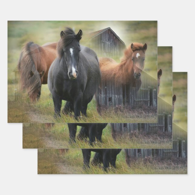 Beautiful Horses and Rustic Barn Wrapping Paper Sheets (Set)