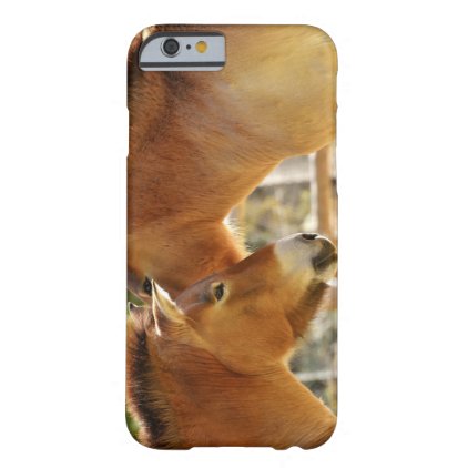 Beautiful Horses Barely There iPhone 6 Case