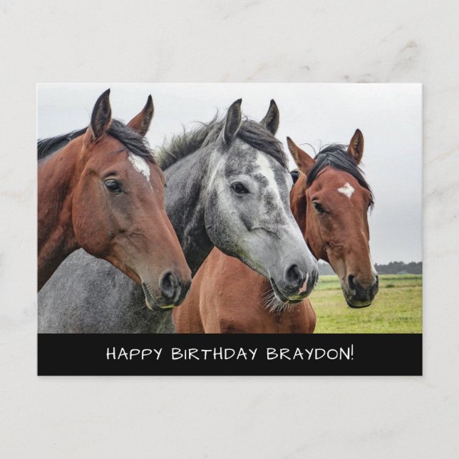 Beautiful horses birthday postcard (Front)