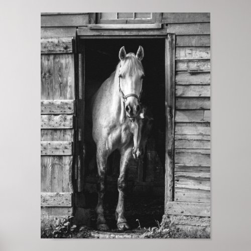 Beautiful Horses Black and White Rustic Farmhouse Poster