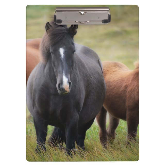 Beautiful Horses Clipboard (Front)