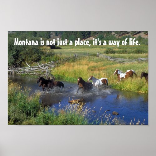 Beautiful Horses Cross a Mountain Stream Poster