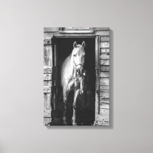 Beautiful Horses Farm Animals B&W Canvas Print