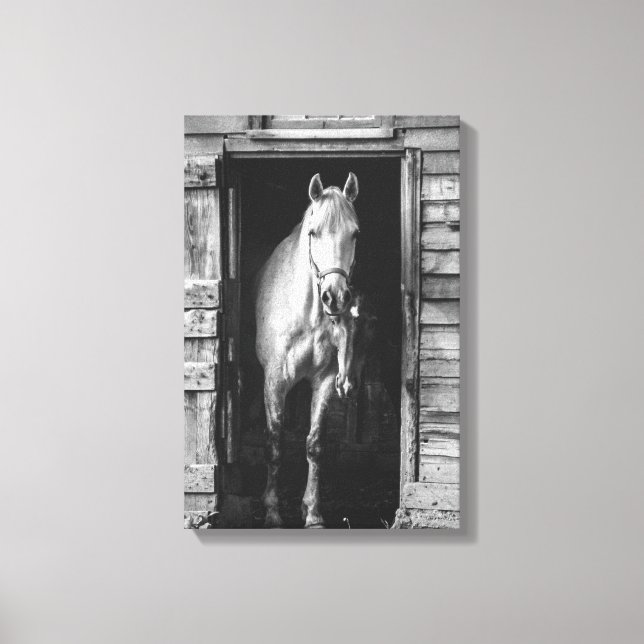 Beautiful Horses Farm Animals B&W Canvas Print (Front)