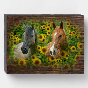 Beautiful Horses in Field of Sunflowers Wooden Box Sign