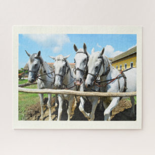 Beautiful horses jigsaw puzzle