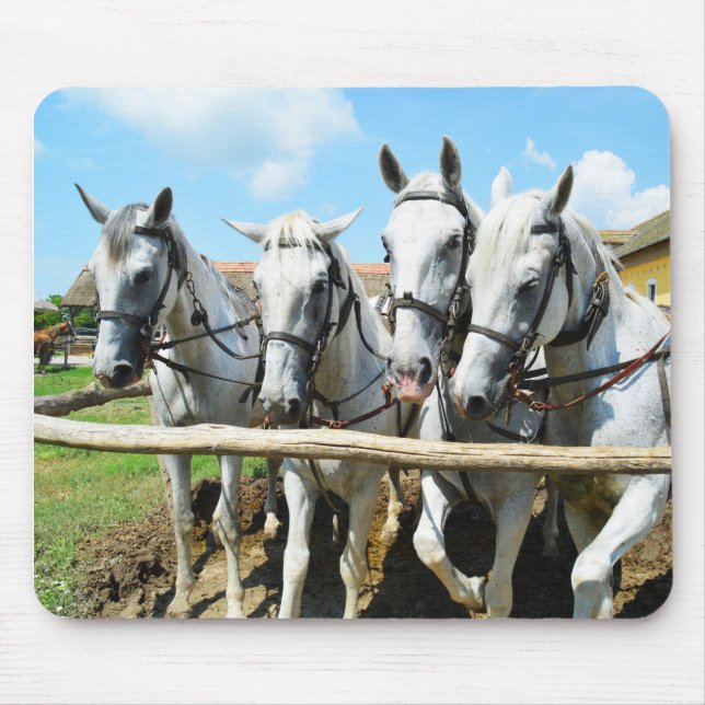 Beautiful horses mouse pad (Front)