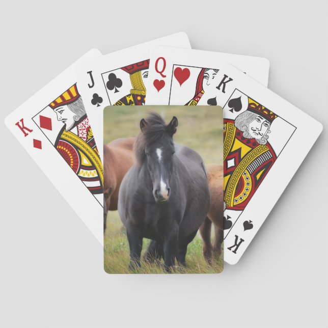 Beautiful Horses Poker Cards (Back)