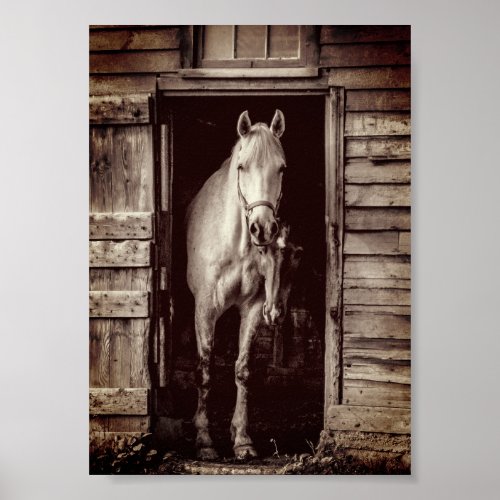 Beautiful Horses Rustic Brown Barn Poster
