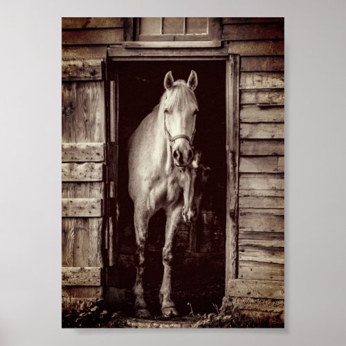 Beautiful Horses Rustic Brown Barn Poster