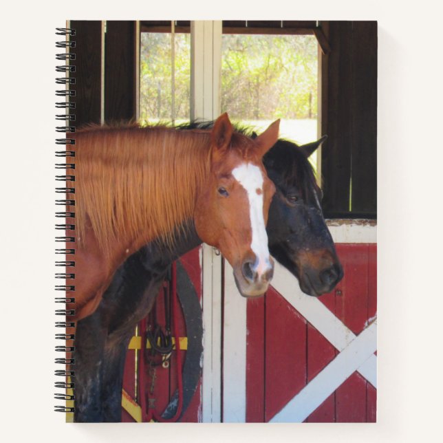 Beautiful Horses - Spiral Notebook (Front)