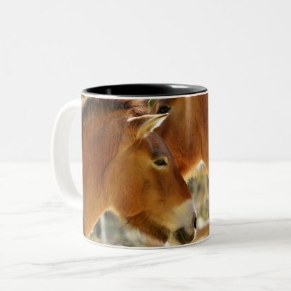Beautiful Horses Two-Tone Coffee Mug