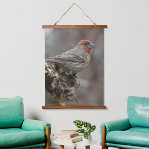 Beautiful House Finch Hanging Tapestry