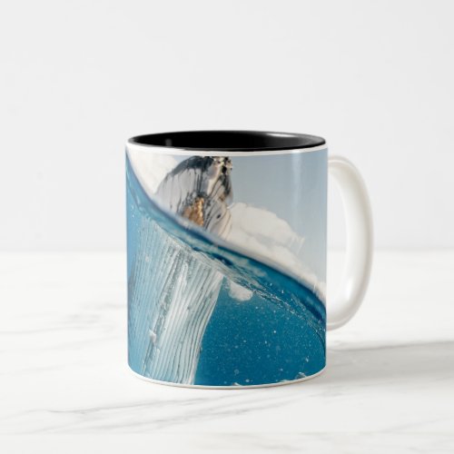 Beautiful Huge Whale Two_Tone Coffee Mug