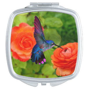 Beautiful Hummingbird Compact Mirror