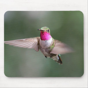Beautiful Hummingbird in Flight Mouse Pad