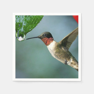 Beautiful Hummingbird Nature Scenery Napkins