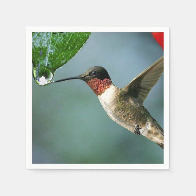 Beautiful Hummingbird Nature Scenery Napkins (Front)