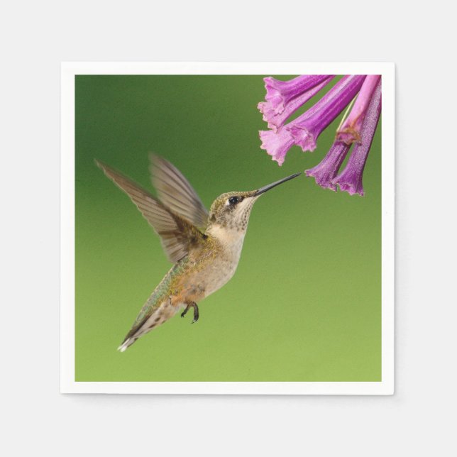 Beautiful Hummingbird Nature Scenery Paper Napkins (Front)