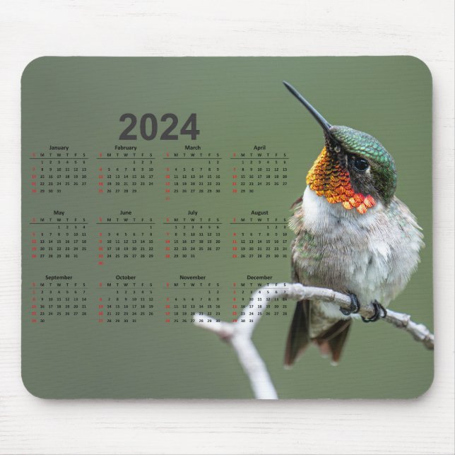 Beautiful Hummingbird on Branch 2024 Calendar Mouse Pad (Front)