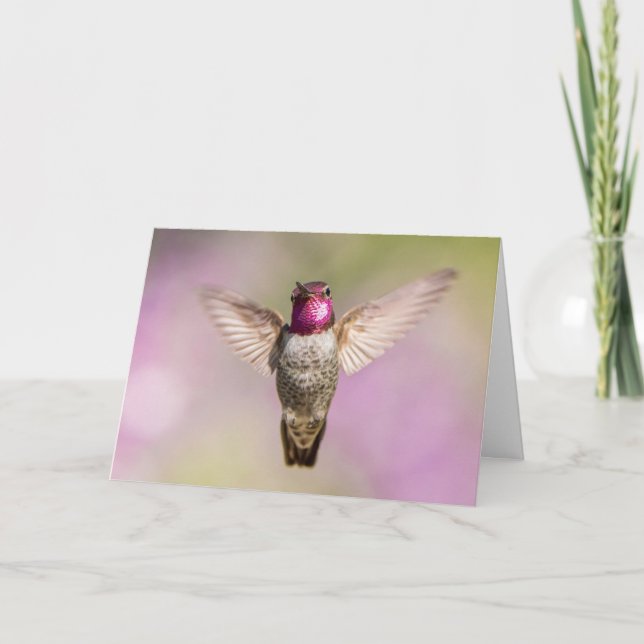 Beautiful Hummingbird Sympathy Card (Front)
